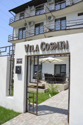 Vila Cosmin